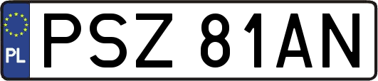 PSZ81AN
