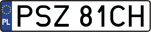 PSZ81CH