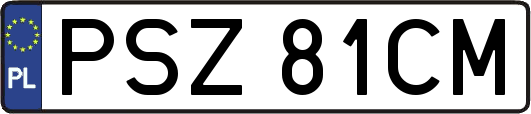 PSZ81CM