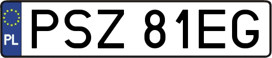 PSZ81EG