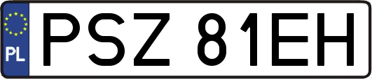 PSZ81EH