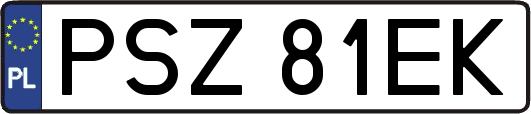 PSZ81EK