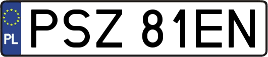 PSZ81EN