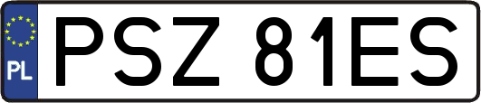 PSZ81ES