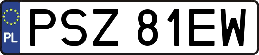 PSZ81EW