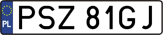 PSZ81GJ