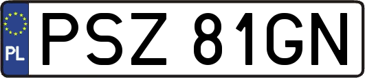 PSZ81GN
