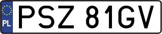 PSZ81GV