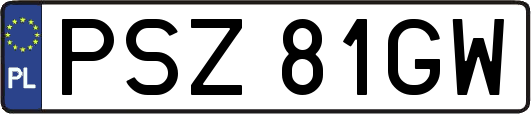 PSZ81GW