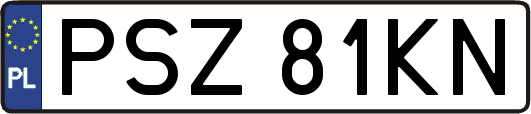 PSZ81KN