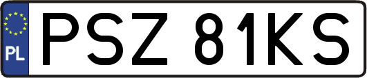 PSZ81KS