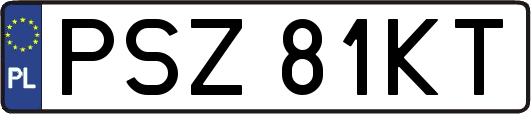 PSZ81KT