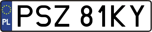 PSZ81KY