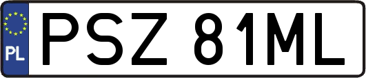 PSZ81ML