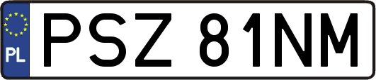PSZ81NM
