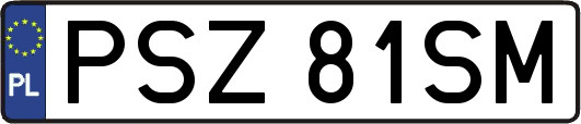 PSZ81SM