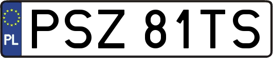 PSZ81TS