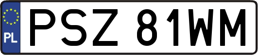 PSZ81WM