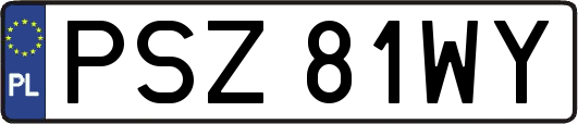 PSZ81WY