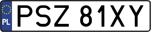 PSZ81XY