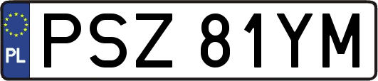 PSZ81YM