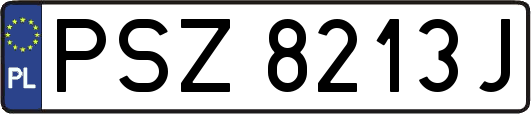 PSZ8213J
