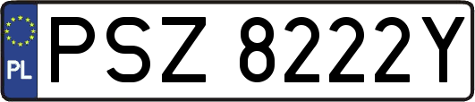 PSZ8222Y