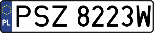 PSZ8223W