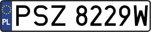 PSZ8229W
