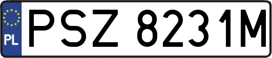 PSZ8231M
