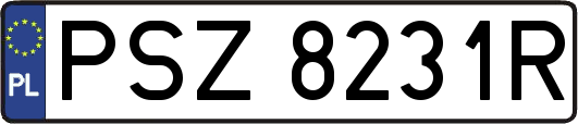 PSZ8231R