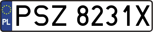 PSZ8231X