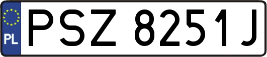 PSZ8251J