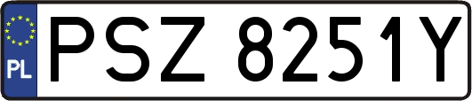 PSZ8251Y