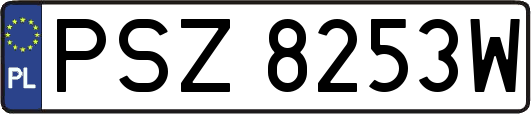 PSZ8253W