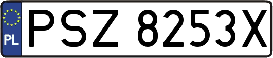 PSZ8253X