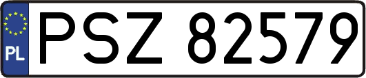 PSZ82579