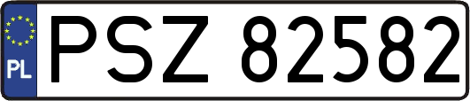 PSZ82582