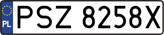 PSZ8258X