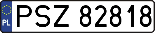 PSZ82818