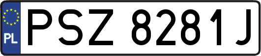 PSZ8281J