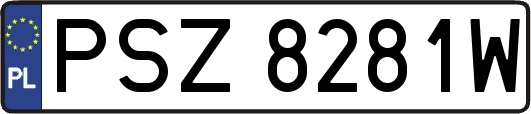 PSZ8281W