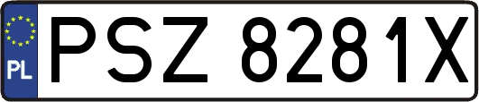 PSZ8281X