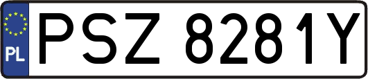 PSZ8281Y