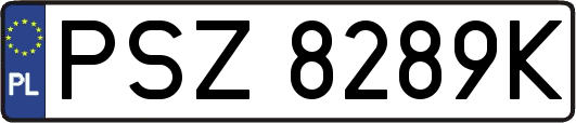 PSZ8289K