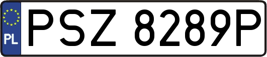 PSZ8289P