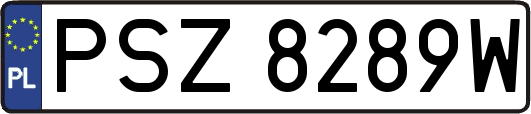 PSZ8289W