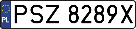 PSZ8289X