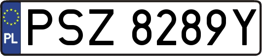 PSZ8289Y