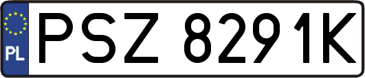 PSZ8291K